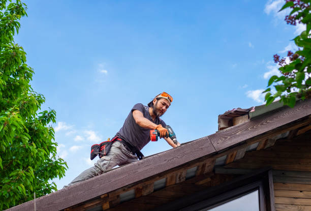 Best Roof Maintenance and Cleaning  in Mckees Rocks, PA